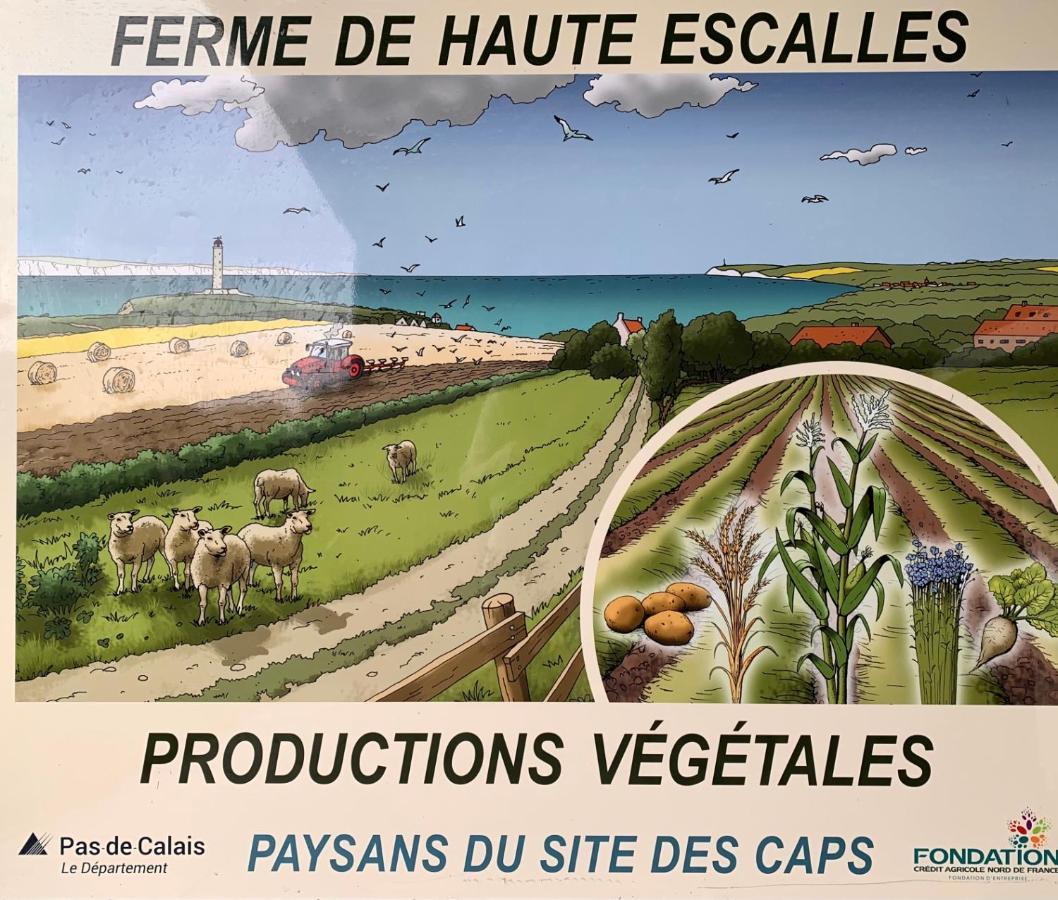 Ferme de la Haute-Escalles Extérieur photo